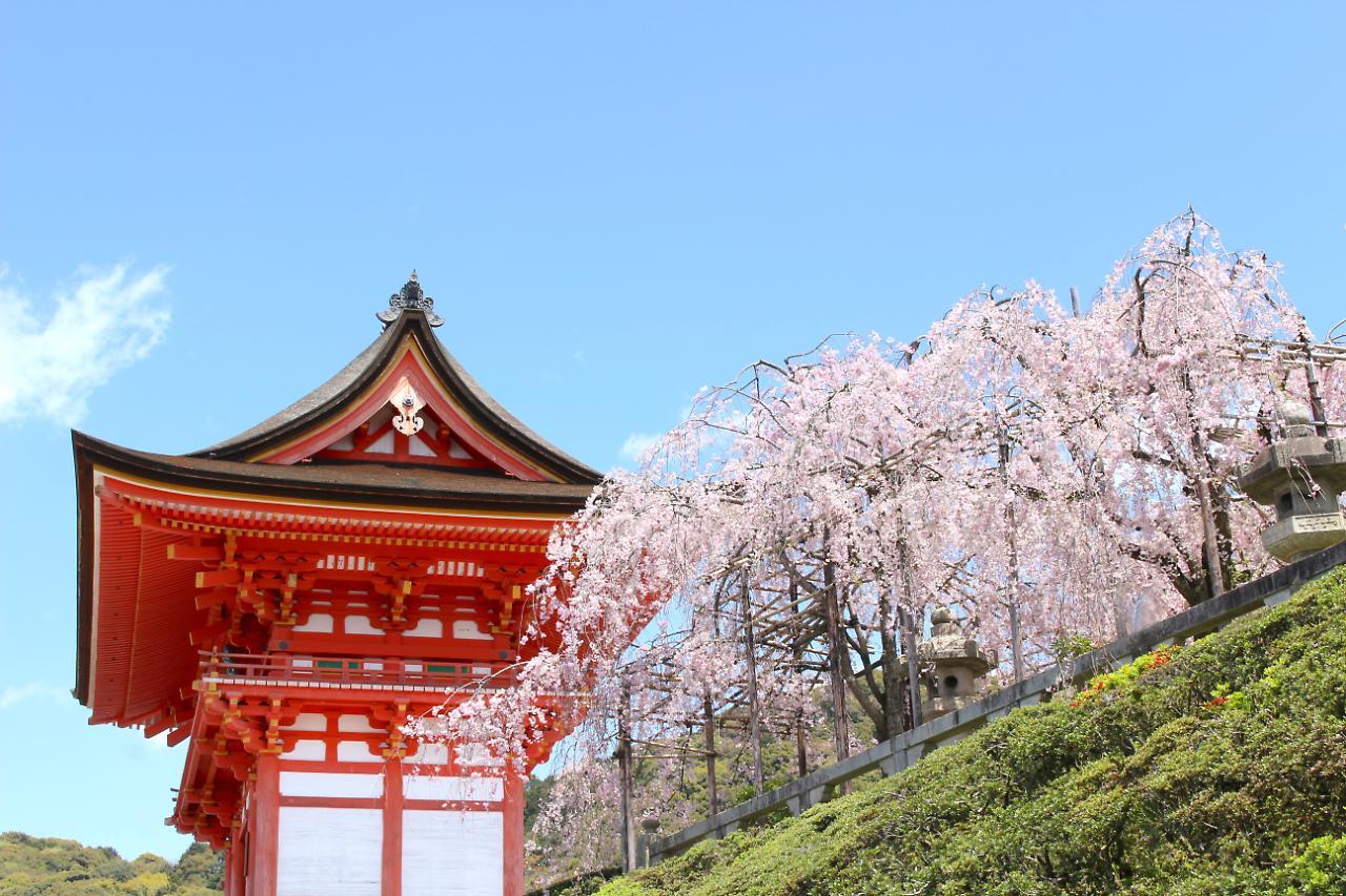 Stay SAKURA Kyoto Shijo Karasuma Eksteriør billede