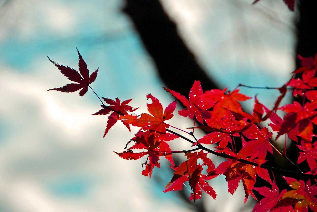 Stay SAKURA Kyoto Shijo Karasuma Eksteriør billede
