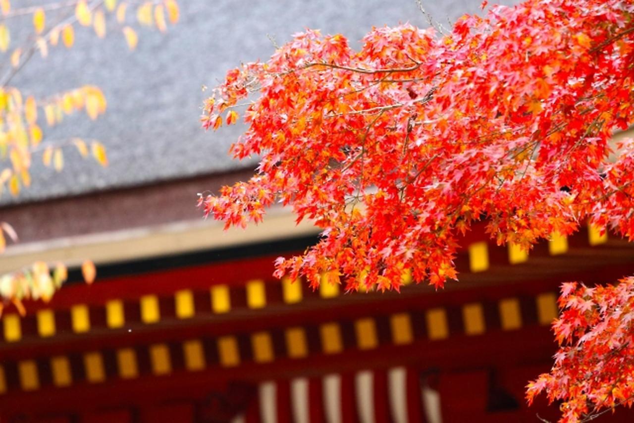 Stay SAKURA Kyoto Shijo Karasuma Eksteriør billede